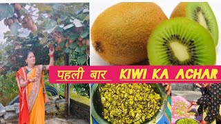 घर पर ही बनाए चटपटा कीवी का अचार बनाने का आसान तरीका kiwi 🥝 Achar चटपटी अचार bhawanamehtavlogs [upl. by Oraneg]