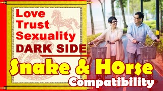 Snake and Horse Compatibility in Love Life Trust Intimacy  Snake and Horse Zodiac Compatibility [upl. by Edlun]