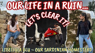 2  Our Life in a Ruin Lets Clear It  Our Sardinian Homestead [upl. by Tanny366]