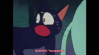 Sailor Moon Zoisite and the Rats Kitty Chaos Episode [upl. by Michale]