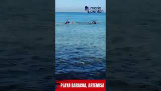 Un cetáceo quedó varado en Playa Baracoa Artemisa Cuba [upl. by Adnomal]