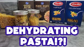 How to Dehydrate Pasta  Meals in a Jar Tips  Introducing the Best Meals in a Jar Database [upl. by Darya725]