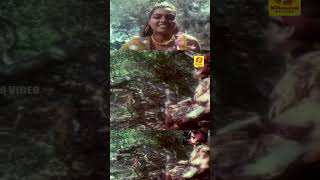 Kattil Pattonnu Tamil  Neram Nalla Neram Movie  Silk Smitha  Pandiyan  Urvashi  Ilaiyaraaja [upl. by Leehar]