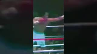 Lupe Pintor vs Juan Kid Meza boxeo boxeomexicano knockdowns [upl. by Shornick]