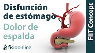 Disfunciones de estómago y dolor de espalda dorsal cervical hombro  Causas y tratamiento [upl. by Henley543]