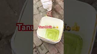 Tanu Malik shortsviral funny littlebaby funnymoments 👍 [upl. by Jonis508]