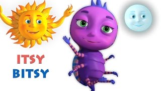 Itsy Bitsy Spider  Incy Wincy Spider  Videogyan 3D Rhymes  Nursery Rhymes For Children [upl. by Canute]