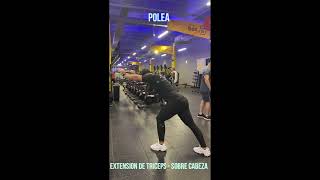 EXTENSION DE TRICEPS SOBRE CABEZA [upl. by Oran131]