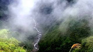 Montain Cloud Forest close to volcano Poas Costa Rica [upl. by Sirtaeb323]