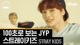 스트레이 키즈의 100초로 보는 JYP 댄스 총정리 Stray Kids 100 Sec JYP 4K고화질 댄스 [upl. by Lorine161]