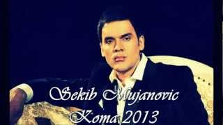 SEKIB MUJANOVIC  KOMA 2013 NOVO [upl. by Corrianne]