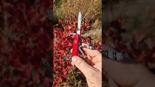 Victorinox Swiis Army 2 alox pruner amp Victorinox sportsman 84 mm 🙂‍↕️🙂‍↔️ [upl. by Huberman]