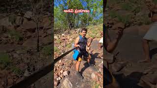 అడవిప్రయాణం🧗 adventure trekking hiking forest wildlife nature trending explore shorts me [upl. by Drus188]