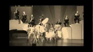 Max Raabe amp Palast Orchester Ich hab´ ne Leidenschaft [upl. by Sykes]