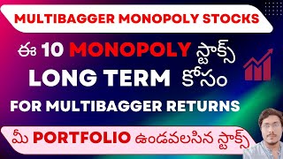 MULTIBAGGER Monopoly Stocks Top 10 Monopoly Stocks For Long Term More Than 60 Market Share Stocks [upl. by Yatnoj805]