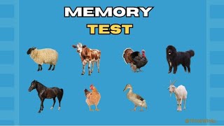 BRAIN STIMULATING GAME 🤯😍 memory test intuitiontest testyourskills braingames brainstimulation [upl. by Asel]