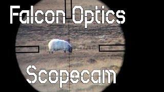 Falcon Optics 5525x56 FFP Scope cam [upl. by Cirenoj]