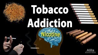 Tobacco Addiction Nicotine and Other Factors Animation [upl. by Sochor47]