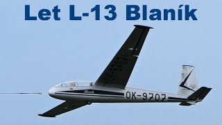 Let L13 Blanik scale RC glider Nesvacily 2020 [upl. by Grenier]