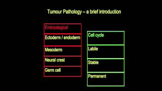 Tumour pathology  a brief introduction part I [upl. by Leonerd809]