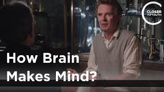 Galen Strawson  How Brain Makes Mind [upl. by Forlini]