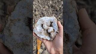 Finding a Weird Crystal While Hunting 🔮 ✨️ ⛏️  Crystal Hunting in India 🇮🇳 crystals quartz [upl. by Enihpled402]