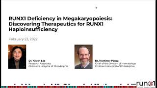 RUNX1 Deficiency in Megakaryopoiesis Discovering Therapeutics for RUNX1 Haploinsufficiency [upl. by Ireg]