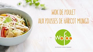 Recette Wok de poulet aux Pousses de Haricot Mungo [upl. by Arayc]