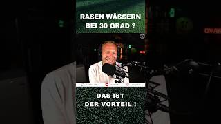 Rasen bei 30 Grad wässern 🌱 Ja oder nein rasen bewässerung trockenheit sommer hitze [upl. by Cort]