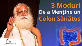 Trei Moduri De a Menține Colonul Curat  Sadhguru [upl. by Intruoc812]