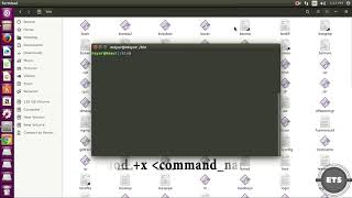 How to create own command in linux [upl. by Woodman694]