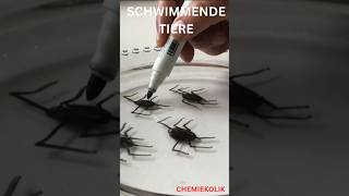 Schwimmende Spinnechemie AGExperimentschule [upl. by Nnahtur154]