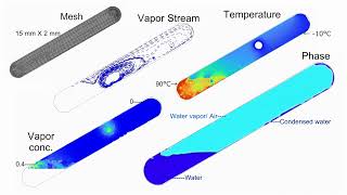 CFD Heat Pipe by Speciesmasstransfer Model [upl. by Esilahs]