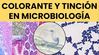 Colorantes en Microbiología Uso y Aplicaciones Prácticas [upl. by Welford]