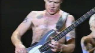 flea bass solo  live bizarre [upl. by Notnad]