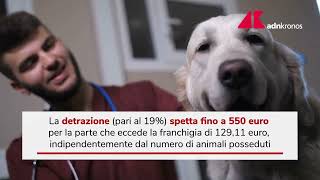 Bonus animali domestici 2022 cosè e a chi spetta [upl. by Ytissahc721]