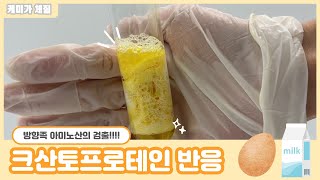 하또실 크산토프로테인 반응Xanthoproteic test 방향족 아미노산의 검출 단백질 검출 실험 [upl. by Iilek]