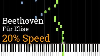 Beethoven  Für Elise Slow Piano Tutorial 20 Speed [upl. by Ancelin232]