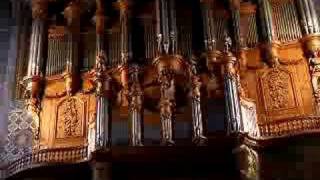 Bombardes of Albi Cathedral organ [upl. by Egag]