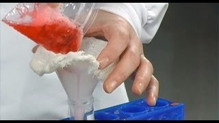 Strawberry DNA Extraction [upl. by Nnor]