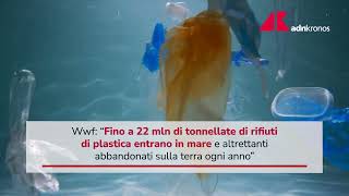 Plastica e inquinamento il report del Wwf [upl. by Ynattyrb]