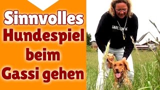 ►► Hundespiele ✔ Sinnvolle Hunde Spiele beim Gassi gehen  Stephanie Salostowitz ✔✔ [upl. by Alain]