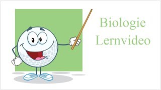 Diffusion amp Osmose  Biologie Lernvideo [upl. by Kries]