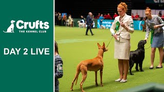 Day 2 Live  Crufts 2022 [upl. by Okika]