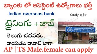 గ్రామీణ హెల్పేర్ పోస్టులకు నోటిఫికేషన్  IOB Recruitment 2024  Latest Jobs In Telugu  Job Search [upl. by Bussy]