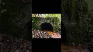 Where does this lead explore tunnel mine dartmoor hiking [upl. by Abbott845]