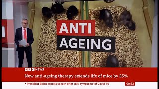 Scientists discover antiageing holy grail that can stop cancer and grey hair in its tracks Global [upl. by Mchale653]