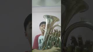 Euphonium The Lick euphonium brassband windinstrument [upl. by Nayrbo563]