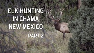 Elk Hunting in Chama New Mexico  Quinlan Ranch 2016 Part 2 [upl. by Kcireddor]