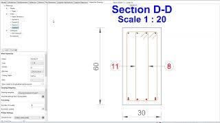 RC modules on Advance Design  RC Design to detailing [upl. by Alley]